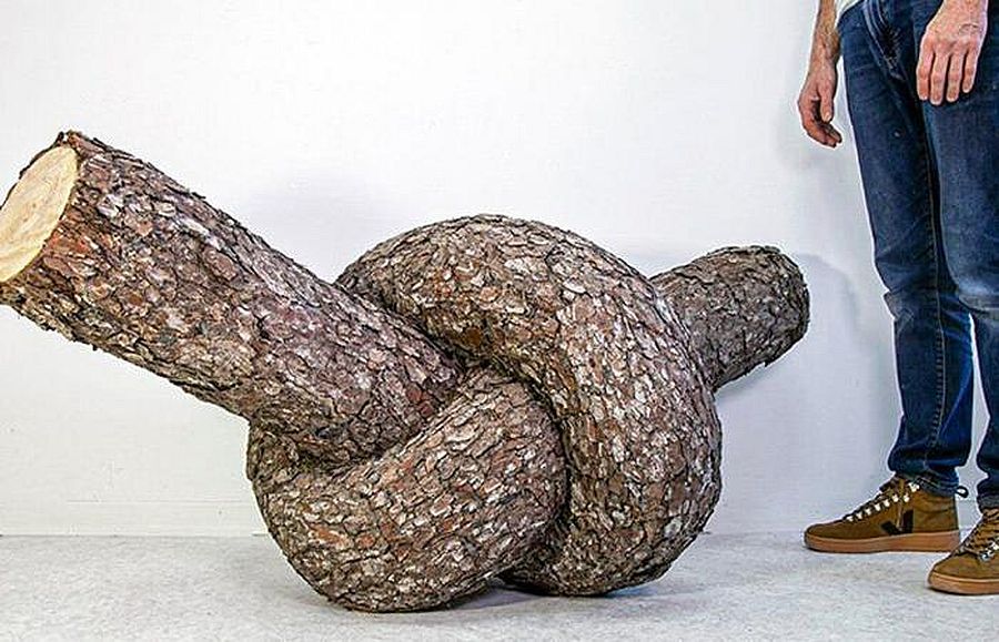 Christophe Guinet