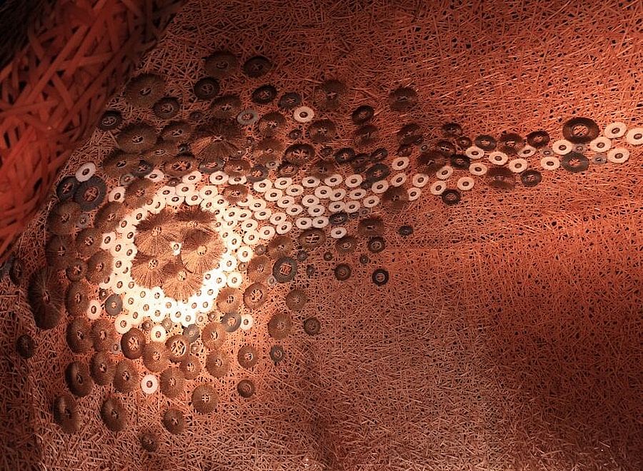 Hermès Alexis Tricoire