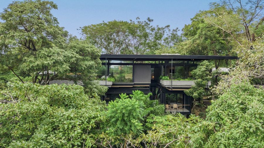 Studio Saxe a Raintree House