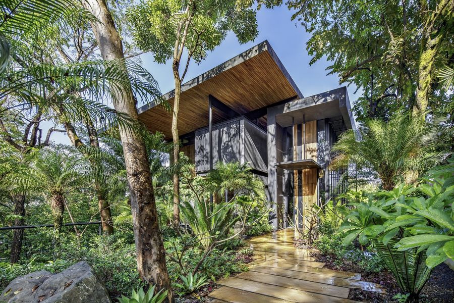 Studio Saxe a Raintree House